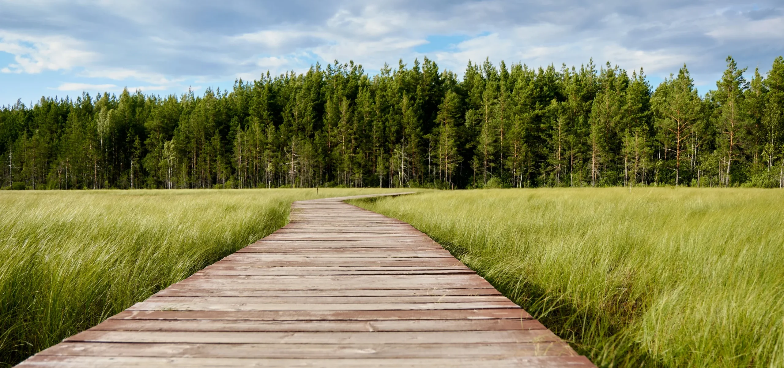 Psychotherapeutische Begleitung bei ADHS und Autismus-Spektrum
